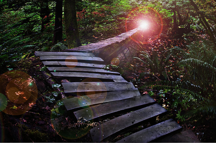 Stairway to Light Digital Art by John Christopher