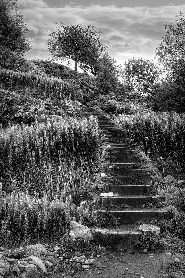 Stairway to the Sky Black and White Photograph by Debra and Dave Vanderlaan