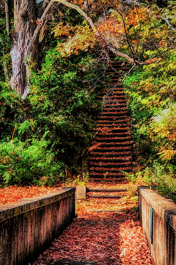 Stairway To The Sky Photograph