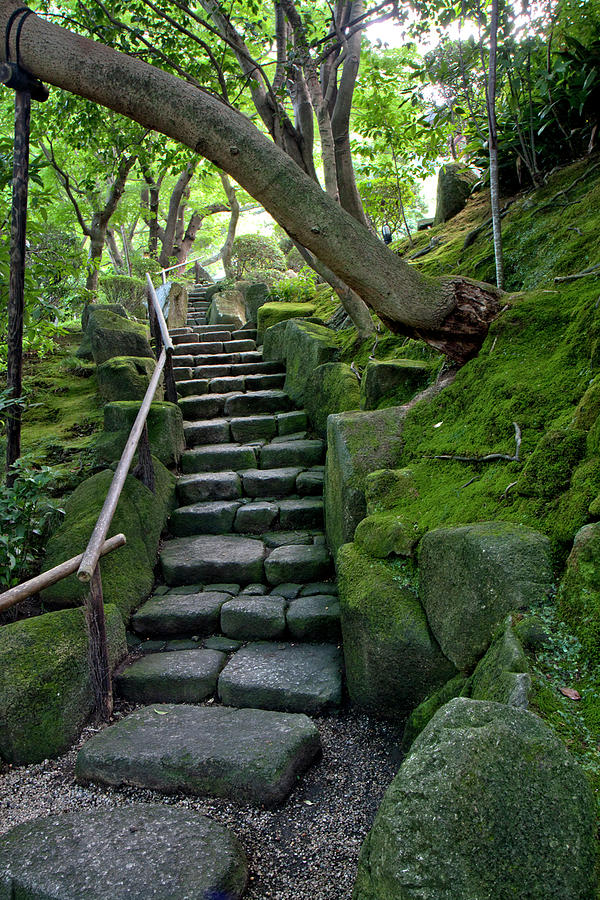 Stairway To Zen Photograph by Gary Hughes