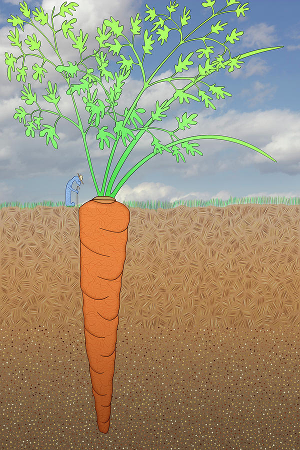 Stalking The Wild Carrot Digital Art