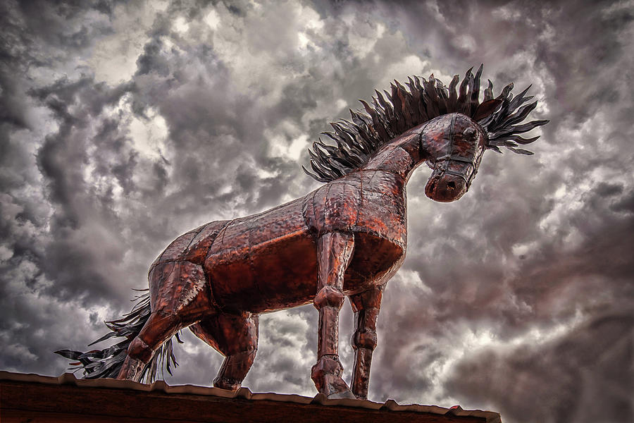 Stallion In The Storm Photograph by Joe Ownbey