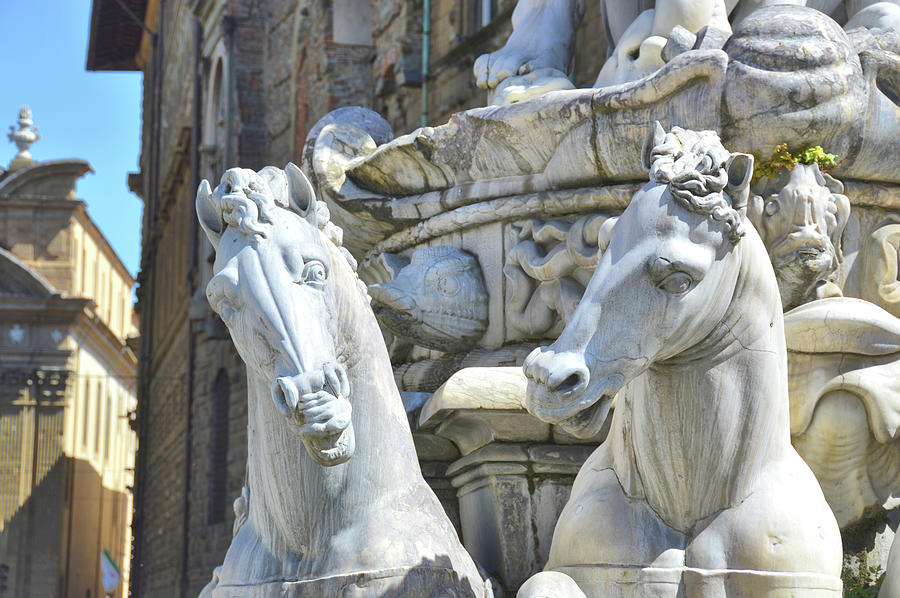 Stallions Of The Sea In Florence Photograph by JAMART Photography
