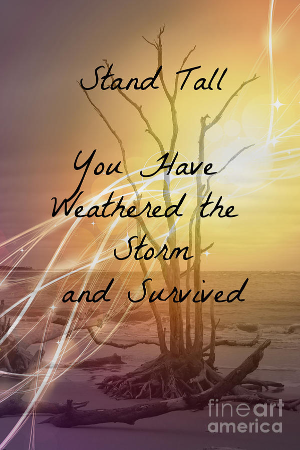 Stand Tall - 
