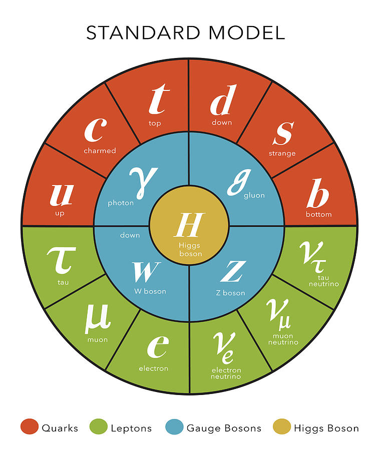 Standard Model, Particle Physics Photograph by Monica Schroeder