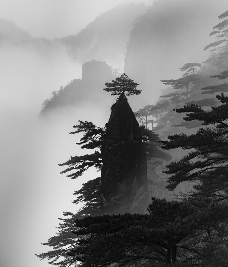 Tree Photograph - Standing Alone by Wei (david) Dai
