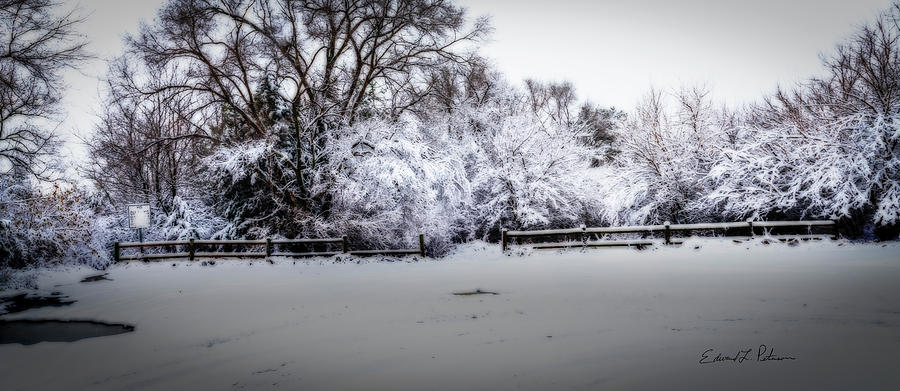 Standing Bear Lake Coated In Snow Photograph by Ed Peterson