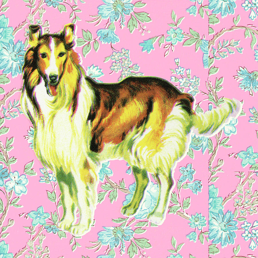 Vintage Drawing - Standing Dog and Floral Pink Background by CSA Images