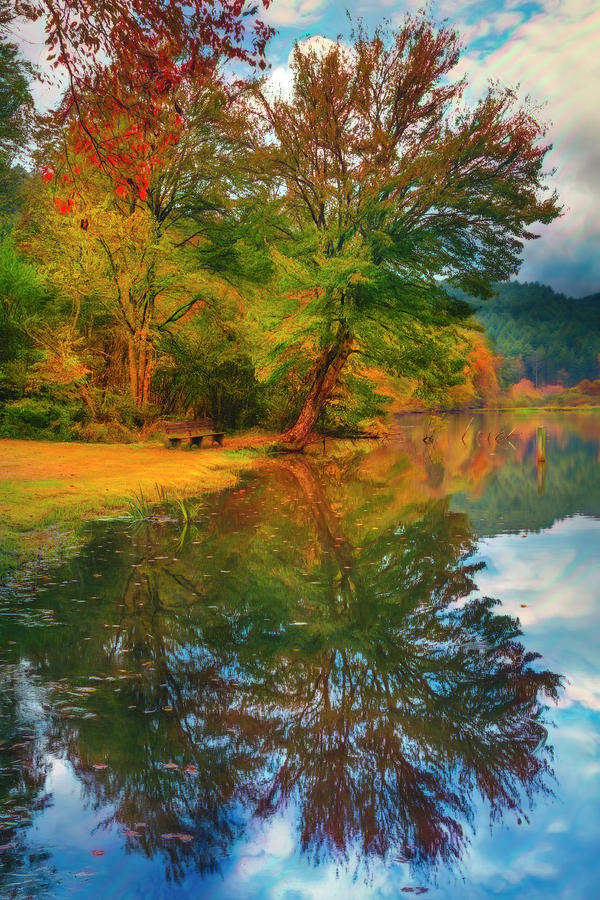 Standing on the Edge of Autumn Watercolor Painting Photograph by Debra and Dave Vanderlaan