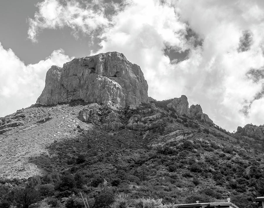 Standing Proud BW Photograph by Norman Johnson - Fine Art America