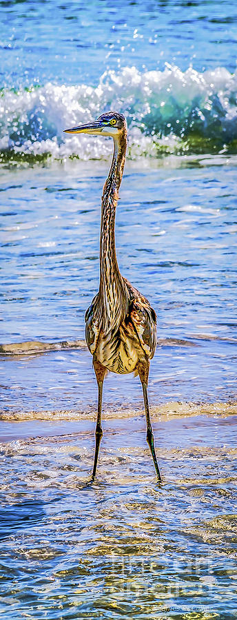 Standing Tall by Jim Collier Standing Tall by Jim Collier