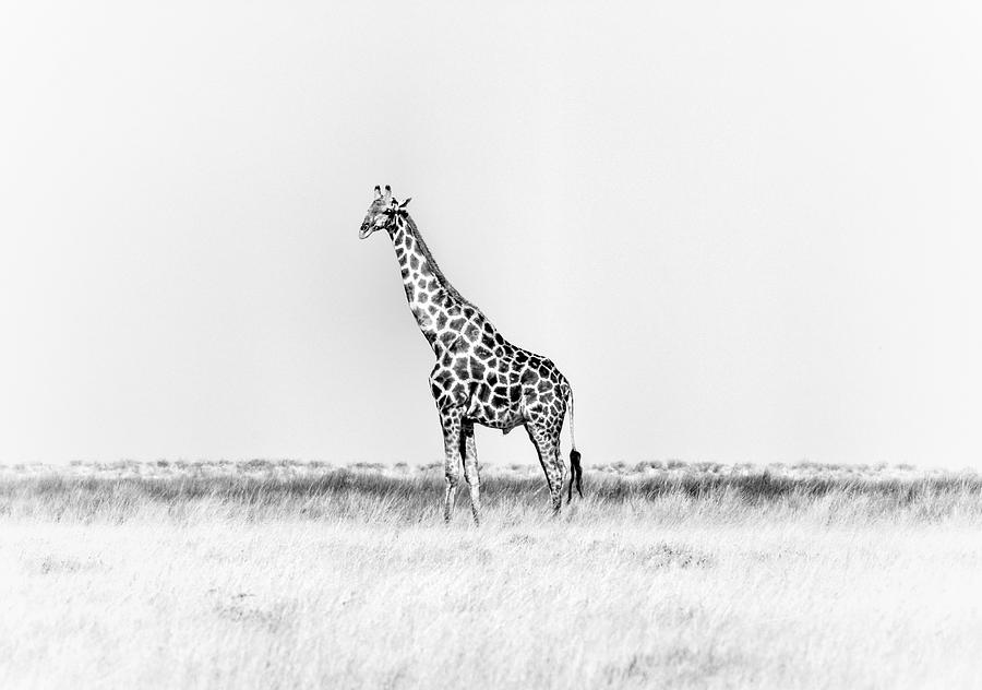 STANDING WATCH by RAND STANDING WATCH by RAND