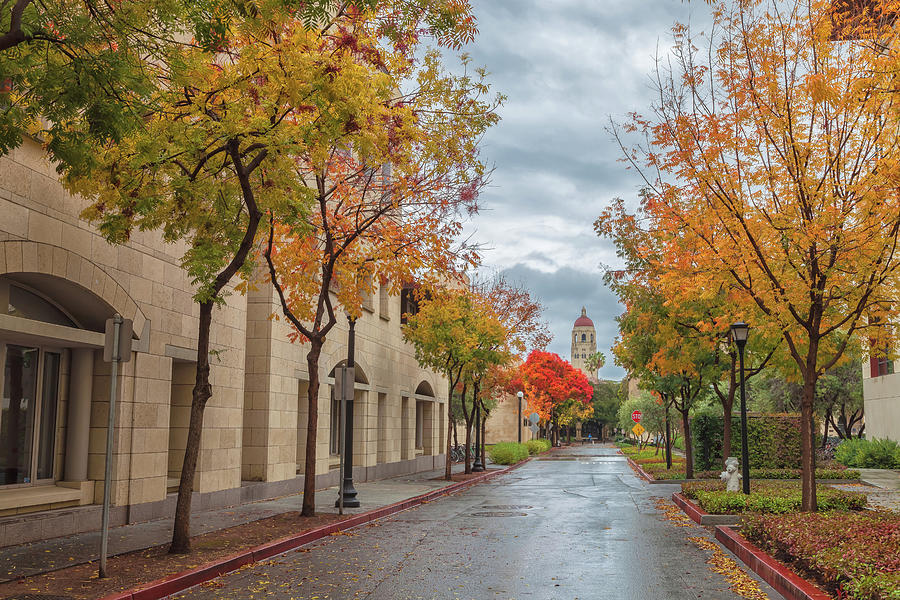 Stanford Autumn Rain Photograph by Jonathan Nguyen