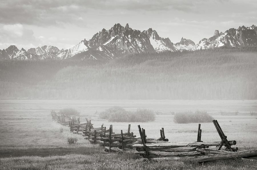 Black And White Photograph - Stanley Basin Fence And Fog by Alan Majchrowicz