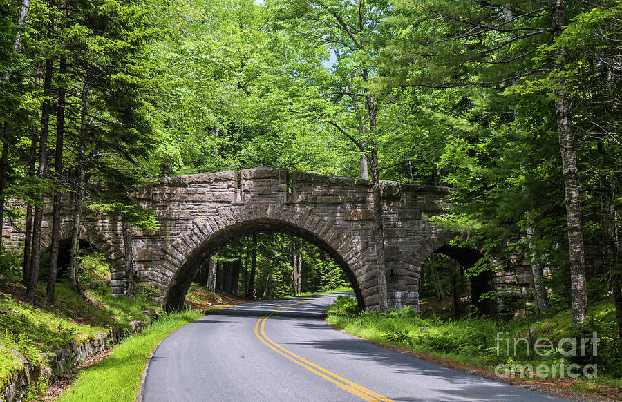 Stanley brook deals bridge