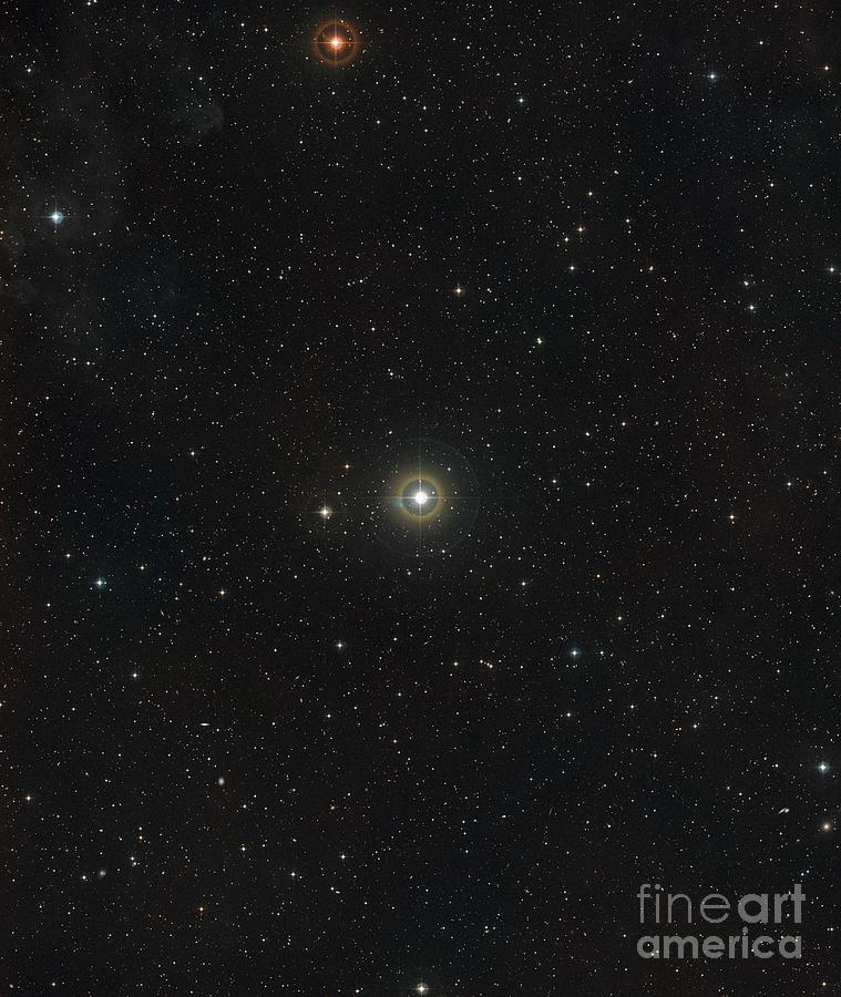 Space Photograph - Star 51 Pegasi by Davide De Martin/science Photo Library