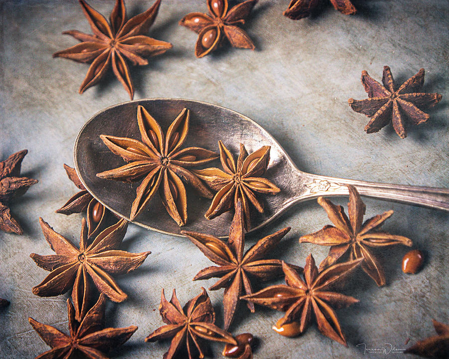 Star Anise 4807 by TL Wilson Photography  Photograph by Teresa Wilson