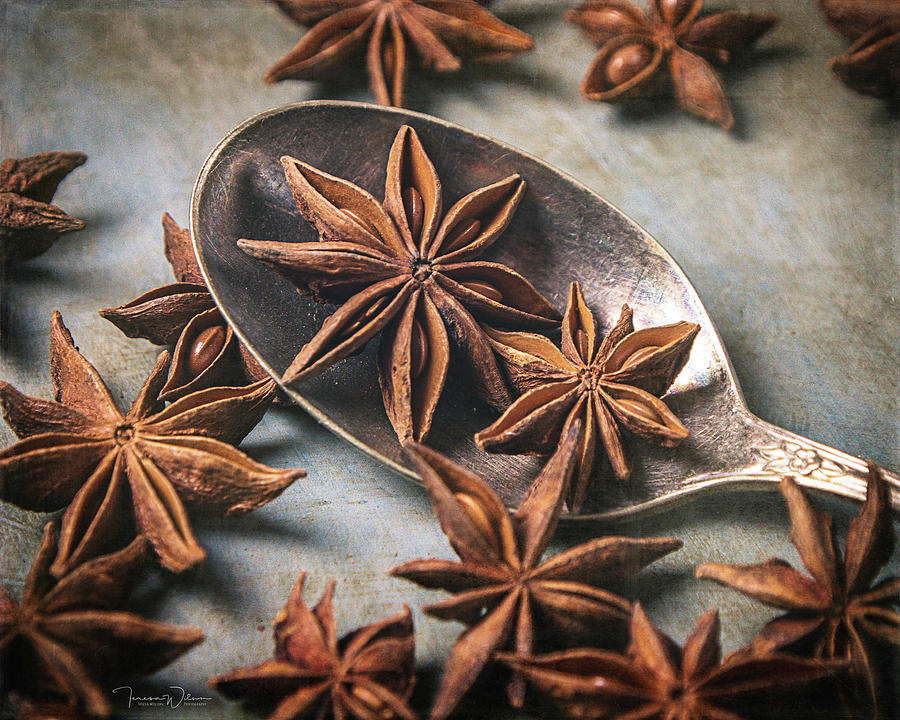 Star Anise 4808 by TL Wilson Photography Photograph by Teresa Wilson