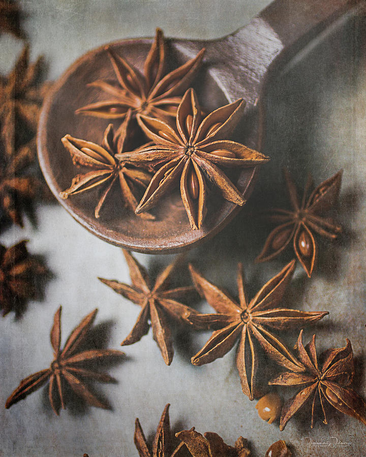 Star Anise 4816 by TL Wilson Photography  Photograph by Teresa Wilson