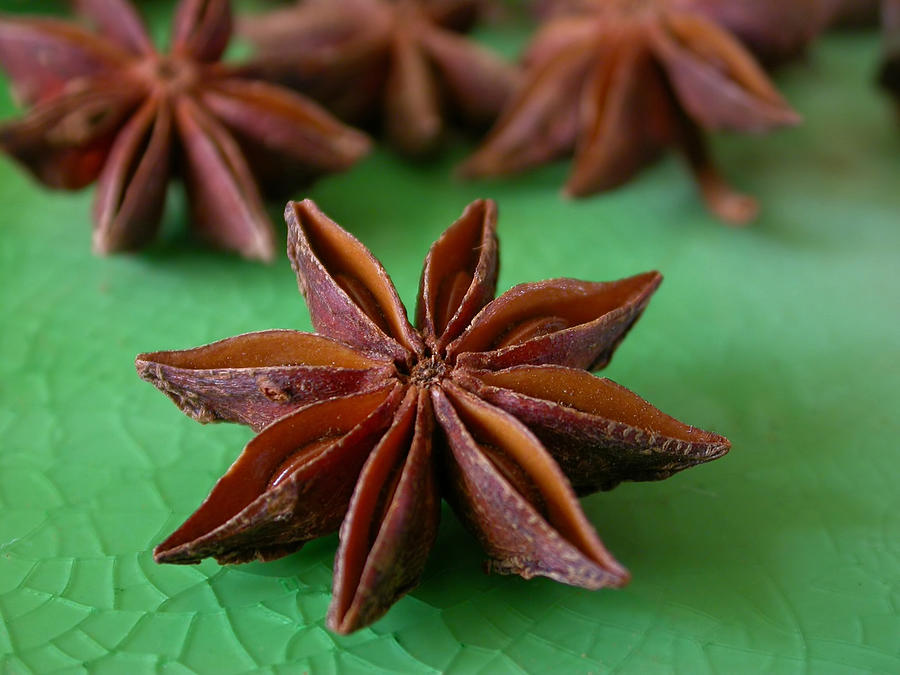 Star Anise Photograph by Dianalundin Star Anise Photograph by Dianalundin