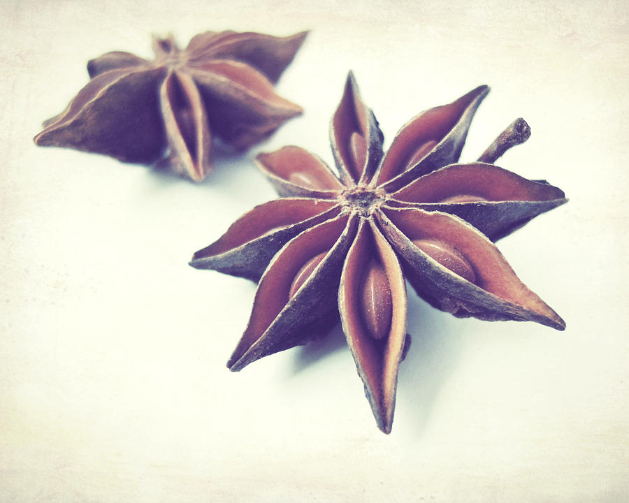 Star Anise Photograph by Lupen Grainne