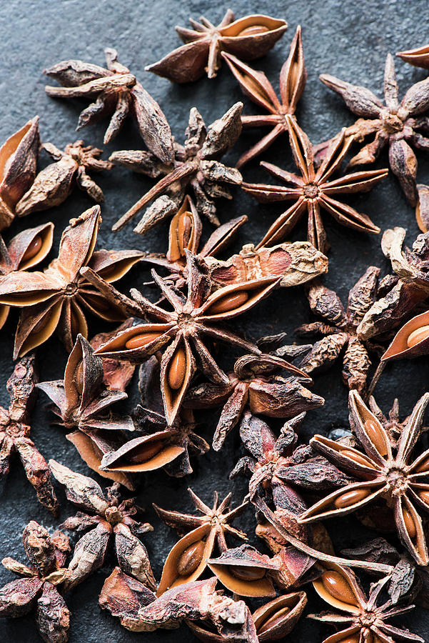 Star Anise Digital Art by Magdalena Niemczyk - Elanart - Pixels