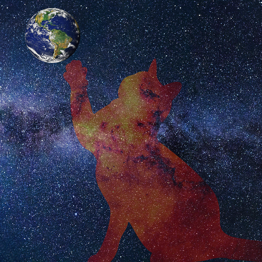 Star Cat Digital Art by Alex Mir