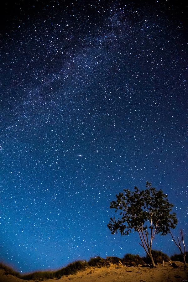 Star Field On The Dunes Photograph by Owen Weber