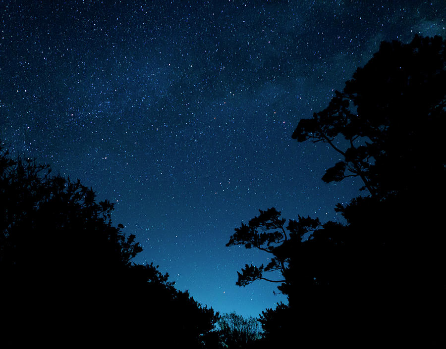 Star Filled Dark Sky Photograph by Yusuke Murata