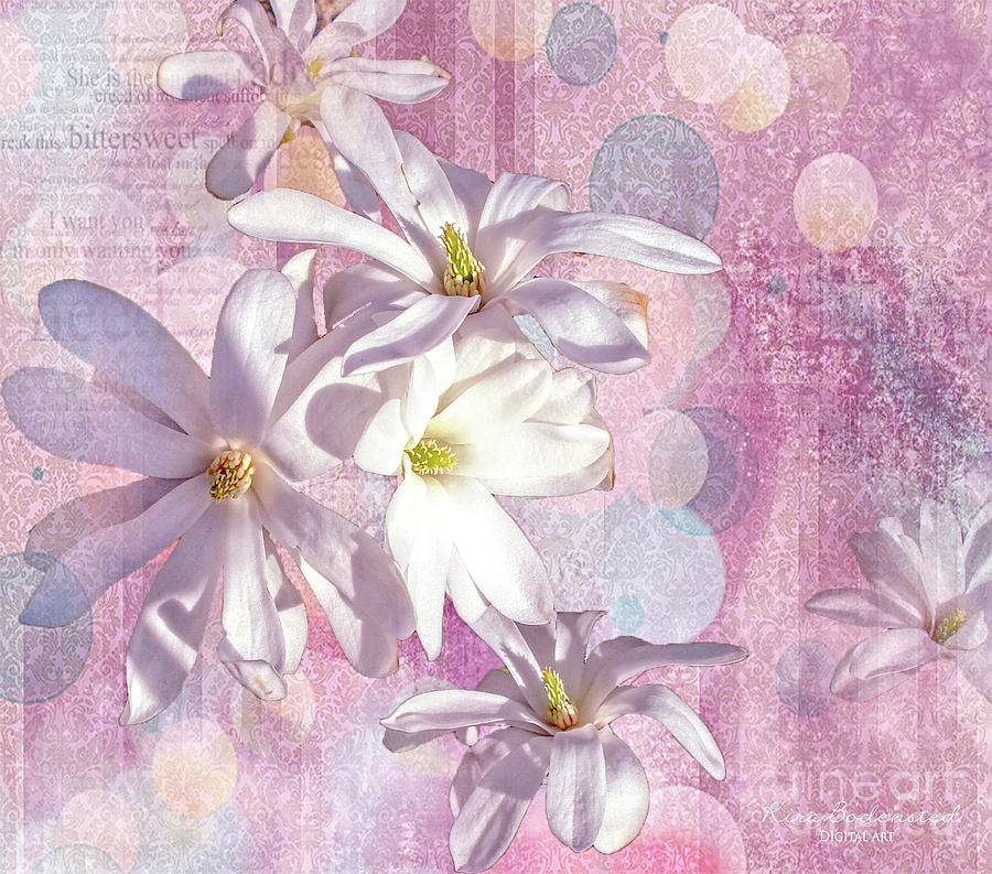 Star Magnolia Mixed Media by Kira Bodensted