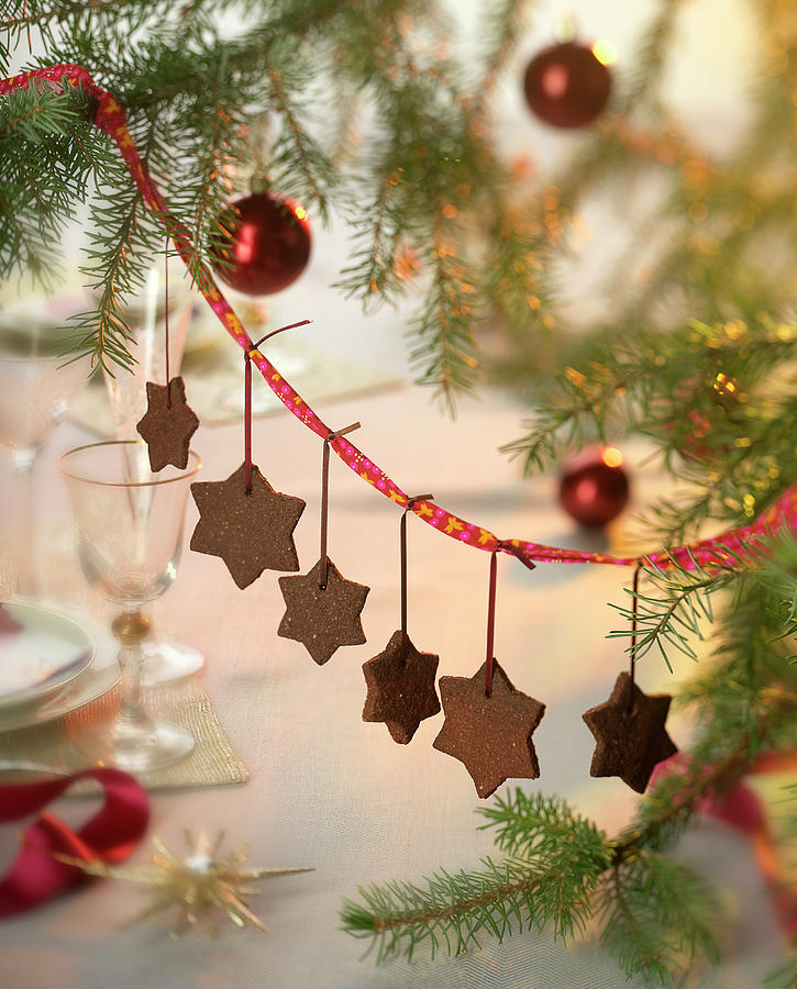 Star-shaped Chocolate Biscuits Hanging On A Christmas Tree Photograph by Bertram
