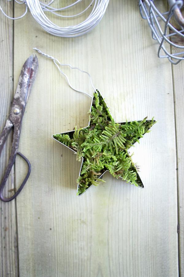Star-shaped Cookie Cutters Filled With Moss Photograph by Martina Schindler