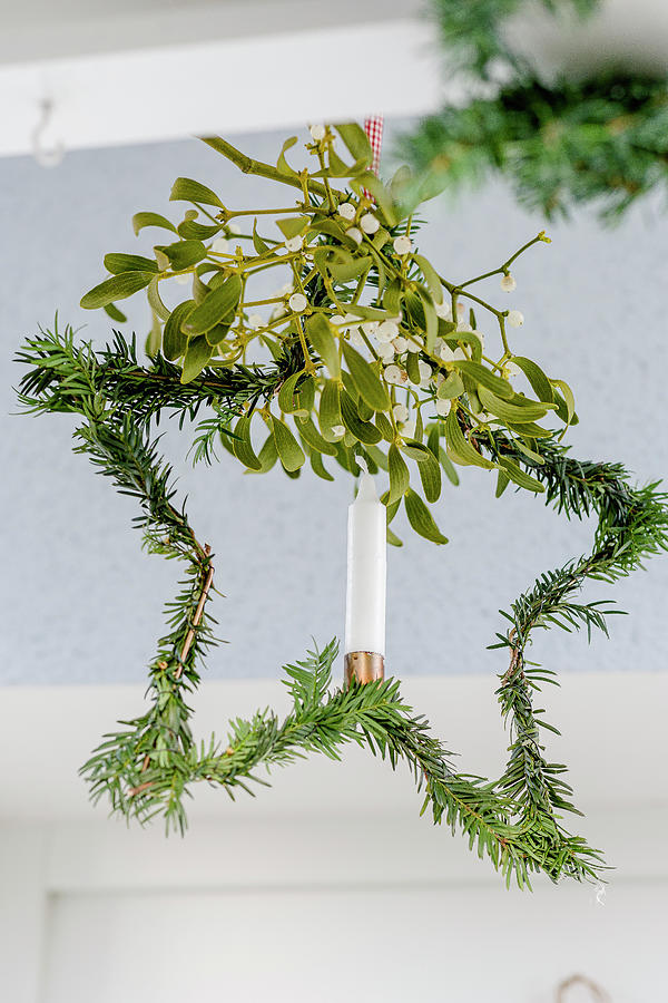 Star-shaped Wreath Of Yew With Mistletoe Photograph by Christel Harnisch