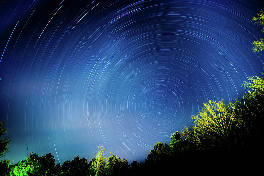 Star trail And Trees Photograph by Jordan Hill