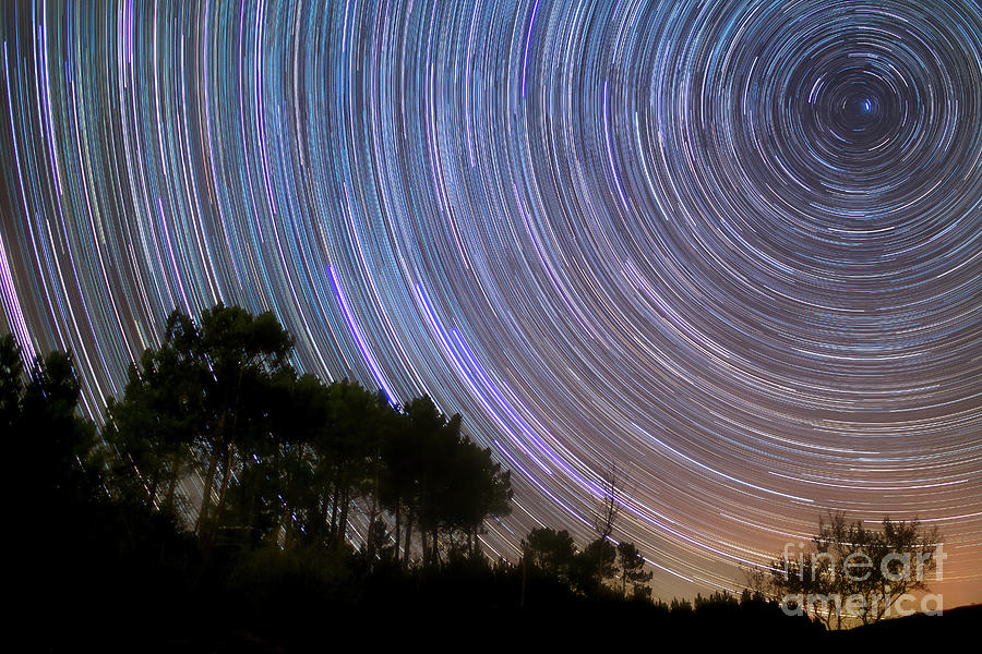Star Trails Above Silhouette Of Trees Photograph by Miguel Claro/science Photo Library