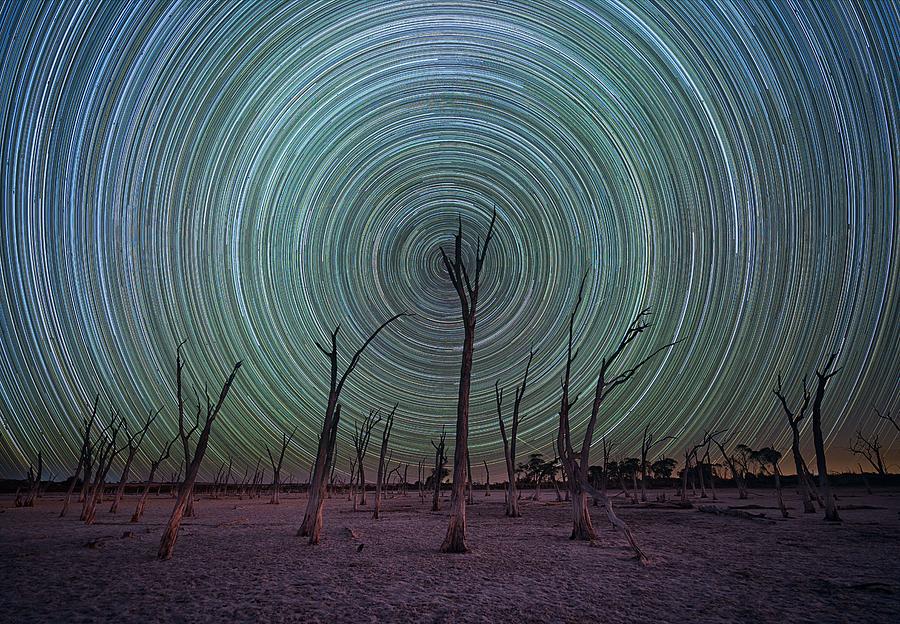 Tree Photograph - Star Trails And Dead Trees At Salt Lake by Paul Harrison