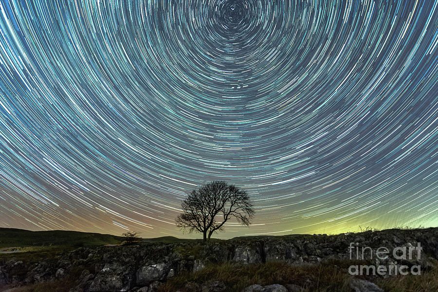 Star trails at the lonely tree on the limestone pavement Photograph by Mariusz Talarek