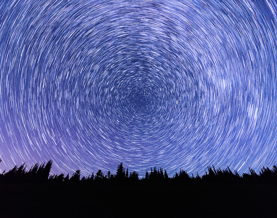 Star Trails in Mt Rainier National Park Digital Art by Michael Lee