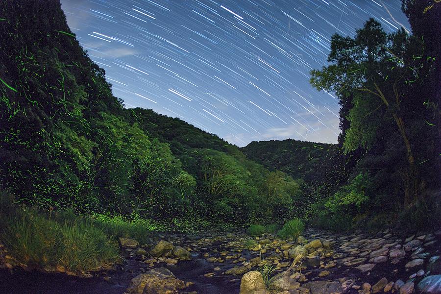 Star Trails Over A River With Fireflies Photograph by Tdubphoto