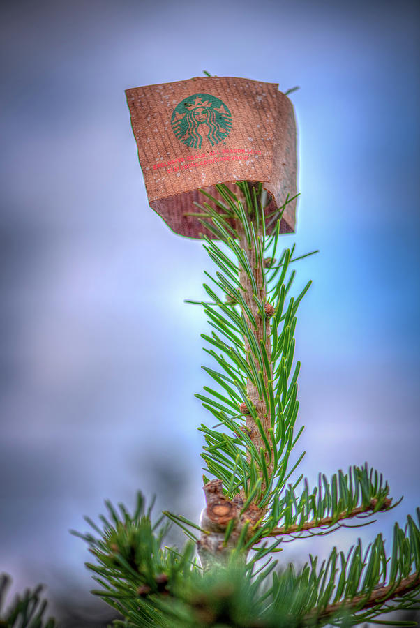 Starbucks Tree Topper Photograph by Spencer McDonald