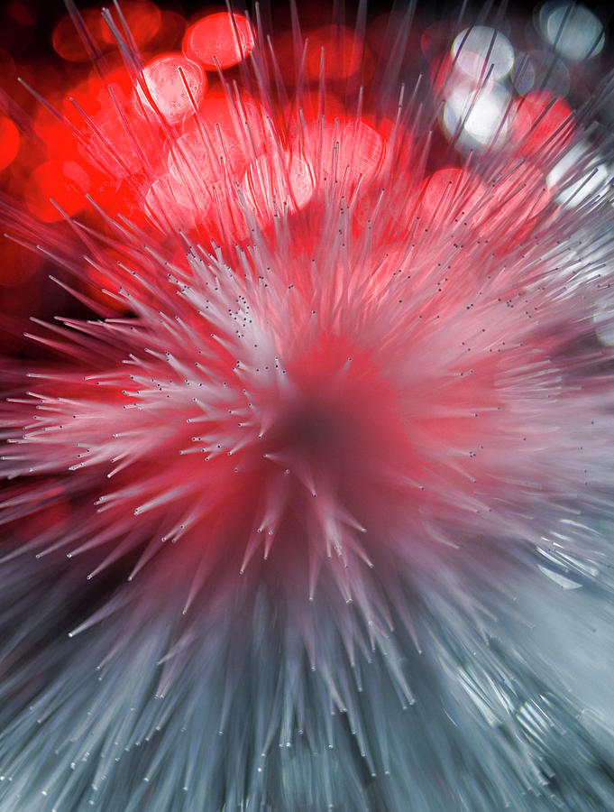Starburst Bokeh Explosion Photograph by Mark Montgomery
