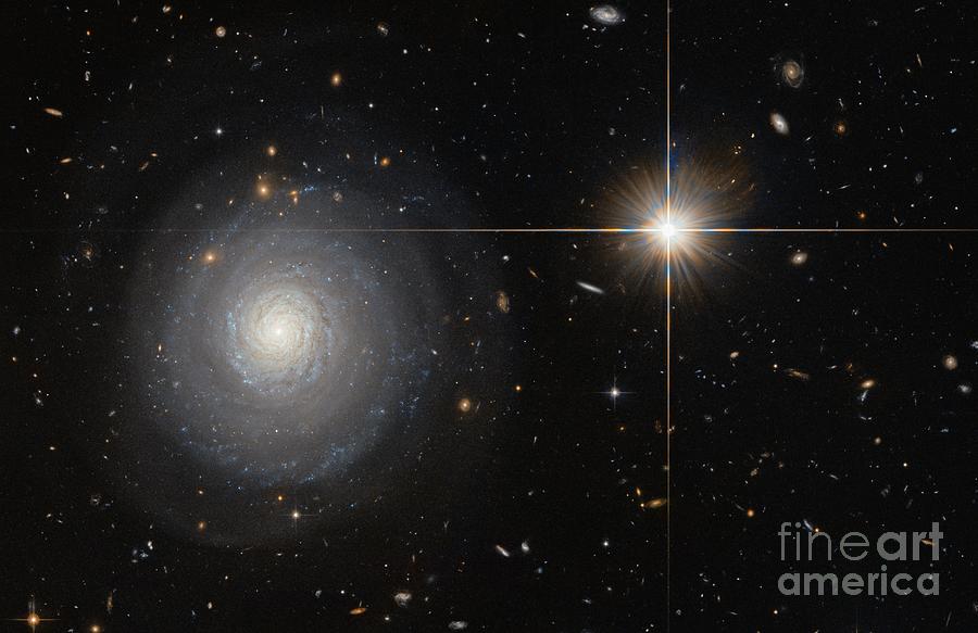 Starburst Galaxy Photograph by Esa/hubble & Nasa And N. Grogin (stsci)/science Photo Library