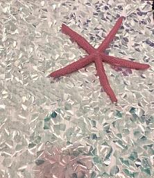 Starfish in the Silver Shimmering Sea Relief by Kenlynn Schroeder