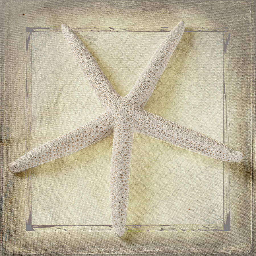 Starfish Mixed Media - Starfish by Lightboxjournal
