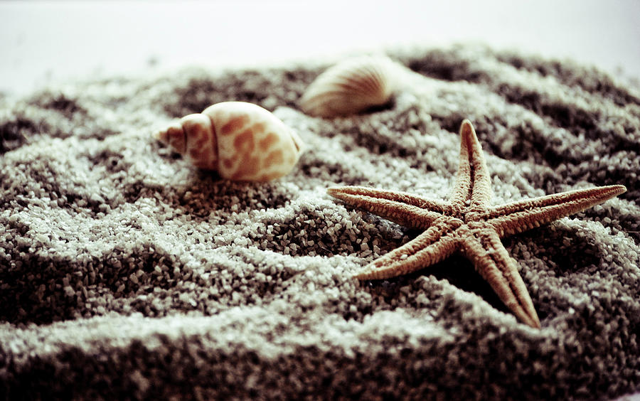 Starfish Photograph by Marina De La Rosa