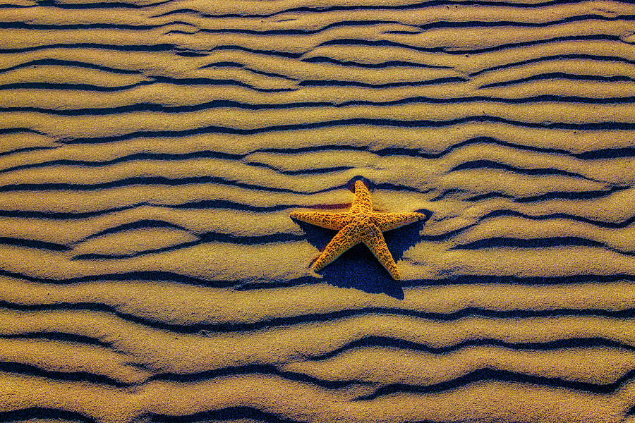 Starfish On Wavey Sandy Beach Photograph by Garry Gay