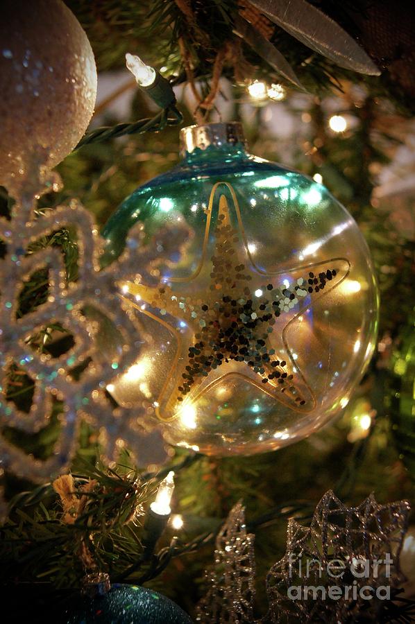 Starfish Photograph - Starfish Ornament by Megan Cohen Starfish Photograph - Starfish Ornament by Megan Cohen