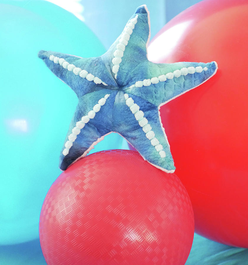 starfish plush