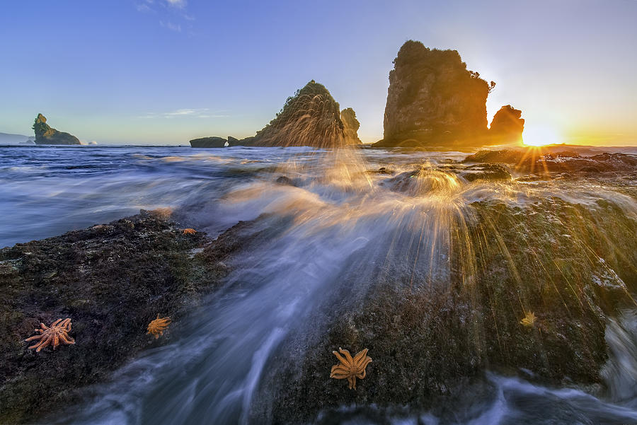 Sunset Photograph - Starfish Rocks by Hua Zhu