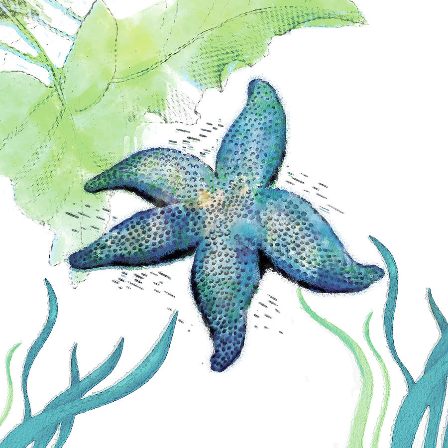 Starfish Drawing by Unknown